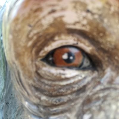 そんなこと言わずに、みんなで仲良くしましょっ∃ﾖﾖｮｮ｡+ﾟ(ﾉД`)ﾟ+｡ｮｮﾖﾖ∃さんのプロフィール画像