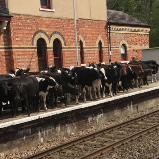 Account dedicated to GWR's stance that its passengers are cattle and can be treated as such daily simply because it is legal! @GWRHelp