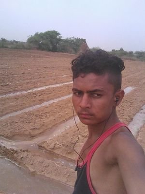 Hitesh53399511's profile picture. 