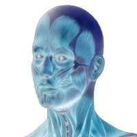 @manchesterheadandneck (@manchesterhead2) 's Twitter Profile