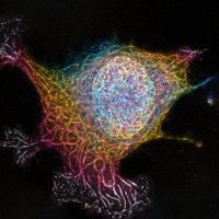 Dr. Eze Miron (@ezemiron) 's Twitter Profile