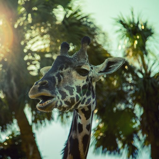 suretinsuretii's profile picture. Kemalist,Fashionable Design Enthusiast,Public Relations Specialist,Blogger