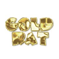 NAMARAの夢見るGOLD RAT (@namara2400) 's Twitter Profile Photo