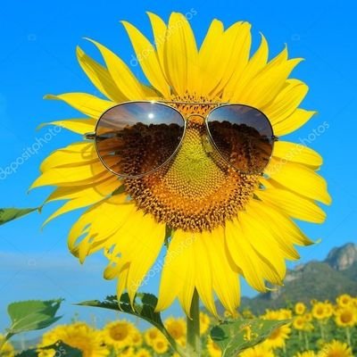 COCOACAT9's profile picture. 