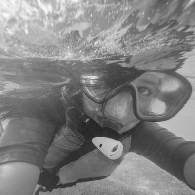 Aspiring coastal eng. | EMJ Master Programme in Coastal Hazards, Risks, Climate Change and Adaptation 2023-2025 🇪🇺