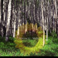 Wallace Woods Band(@wallacewoods859) 's Twitter Profile Photo
