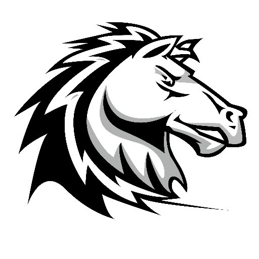 SMSactivities's profile picture. Representing the Stallion Nation!