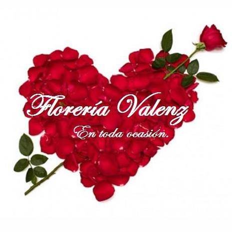 FloreriaValenz's profile picture. 