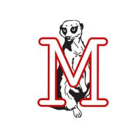 Meerkat Baseball (@baseballmeerkat) 's Twitter Profile Photo Meerkat Baseball (@baseballmeerkat) 's Twitter Profile Photo