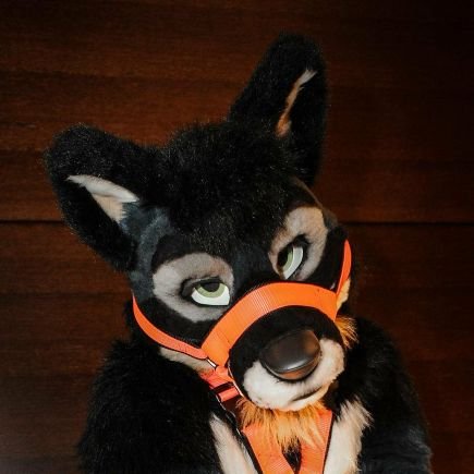!! NSFW !! Account
please only other AD accounts
@LeoBlueWolf for my normal twitter
