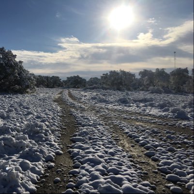 BlvdWiseman's profile picture. Business & Finance Literature History Books Arts