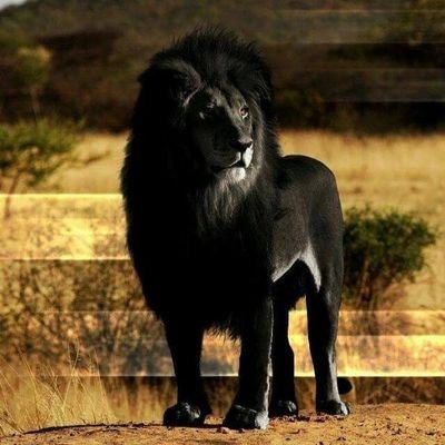 Gissel32689080's profile picture. 