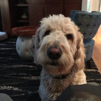 Jim Persky (@vesselmd) 's Twitter Profile