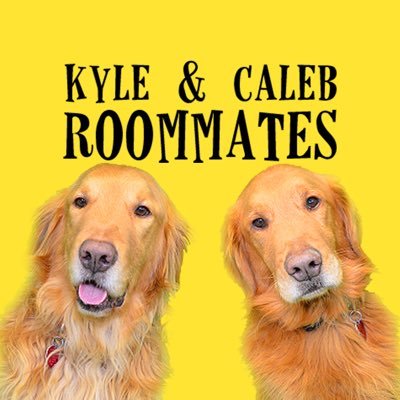 🐕One is neat, one is a slob. Getting along might be ruff, but they’ll try to make it work🐕Account managed by me (Kyle) cuz Caleb thinks twitter is “pointless”