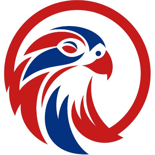 SPCSSFalcons Profile Picture