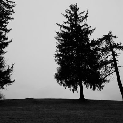 m00nl0gic's profile picture. 