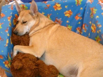 Halo104Of's profile picture. check media for some of my photos