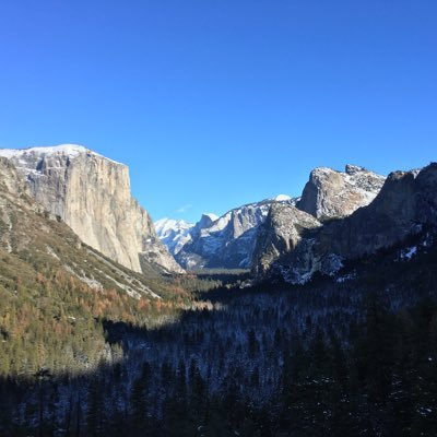 wannabfoode's profile picture. 