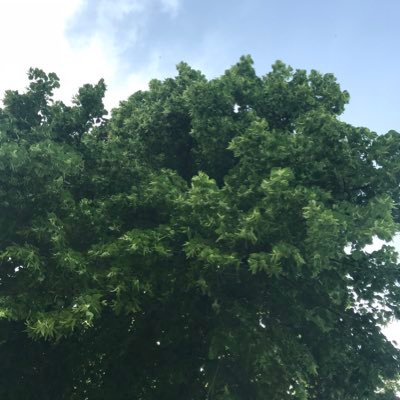 isabelleb_bu's profile picture. 