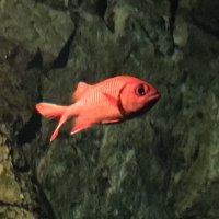 nina (@bambeeei) 's Twitter Profile