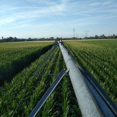 Agriculteur dans le Haut rhin Président de l'APCO, association des producteurs de céréales du 68, administrateur AGPM