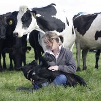 Lisa Dwyer (@dwyerdairy) 's Twitter Profile Photo
