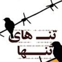 تنهای تنها (@qaqepoldar) 's Twitter Profile