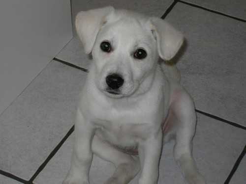 LBGood84's profile picture. 