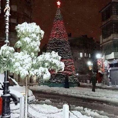 PMcyTWM7ShdKSX7's profile picture. كرستيانو