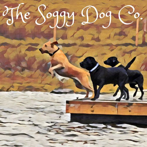 We love dogs and we love water. What happens when you put the 2 together? You get the Soggy Dog Co.! We're here to give your dogs confidence and fun in water!💦🐕