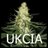 UKCIA avatar