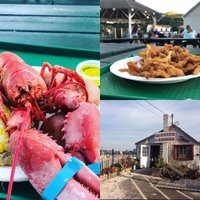 New England Seafood Journal(@ne_seafoodjourn) 's Twitter Profile Photo