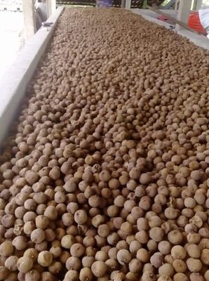Tôi là nguyễn văn đoan, tôi đang bán vải sấy khô lục ngạn bắc giang
