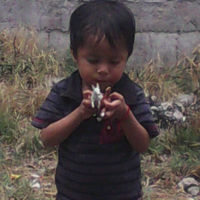 OscarPa42108351's profile picture. X¡