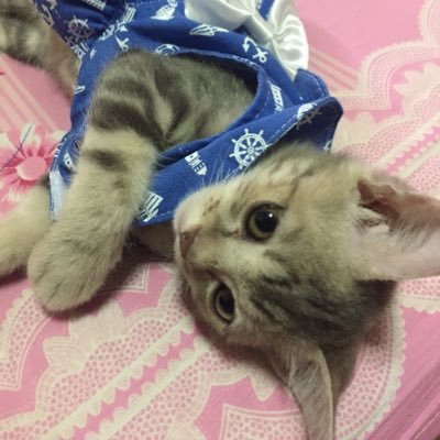 Mooam16's profile picture. 