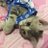 Mooam16's profile image