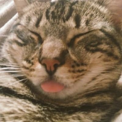 mramag4's profile picture. 