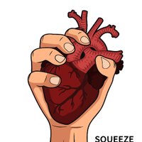 Squeeze (@squeezestudy) 's Twitter Profile