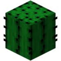 geringer_d's profile picture. Minecraft player who likes cactus! 🌵