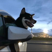 kachi kachi (@kachika76890776) 's Twitter Profile Photo kachi kachi (@kachika76890776) 's Twitter Profile Photo