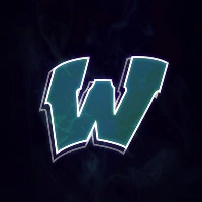 warminopro's profile picture. Youtuber - WarminoPro (Gaming)