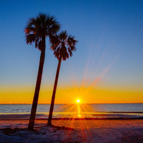 All the tweets from Florida airports and other aviation news from around the state.