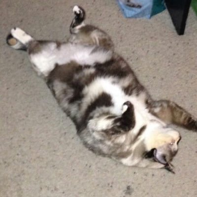 Abbie4949's profile picture. Mom, S F CA❤️ raised , USF School of Nursing❤️Hospice/oncology nsg ❤️Fav. job: RN Thunder Road Oakland in-pt teen recovery, Fav song: oh honey -delegation