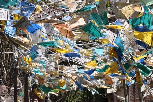 graffitilogic's profile picture. Stargazing, software developer, tech & photography nerd.