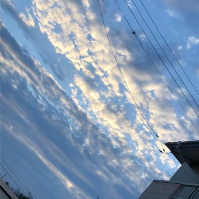 OIR6VBoc599Xmrg's profile picture. ありがとう