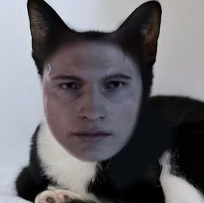detroit: become human but its cats