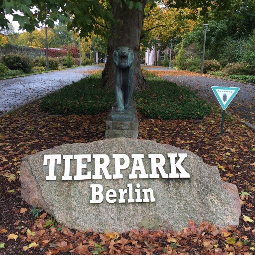 tierpark3's profile picture. Informatiker. Nomad. Philosopher. Teacher. Veteran.