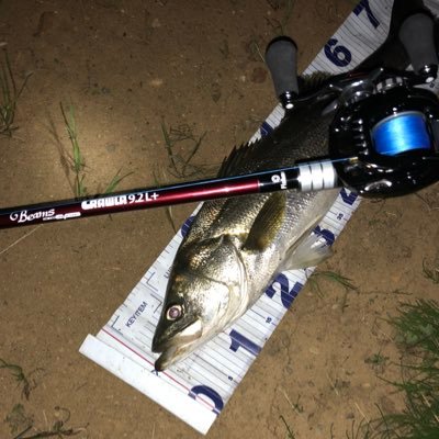 ようすけ@ツリバカ (@bakayosuke) / Posts / X