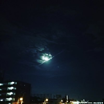 sona5124ftr's profile picture. KKK♥️💙 お魚さん🐟寄りです。仲良くしてください(●´ω`●) 防弾🐰寄りの箱推し🐨🐹🐱🦄🐣🐻🐰 最近💥🥦にどっぷりハマり中。 お話ししてくれたら泣いて喜びます🤣