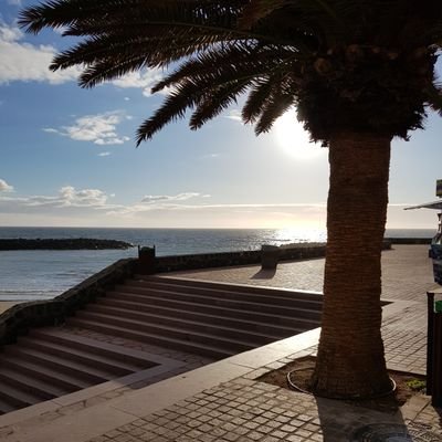 scousegit1's profile picture. 